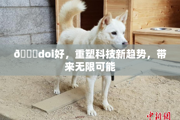 🔞doi好，重塑科技新趋势，带来无限可能