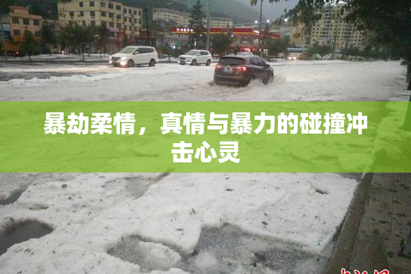 暴劫柔情，真情与暴力的碰撞冲击心灵