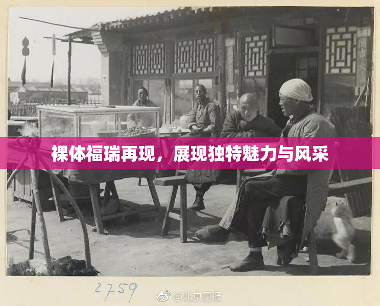 裸体福瑞再现，展现独特魅力与风采