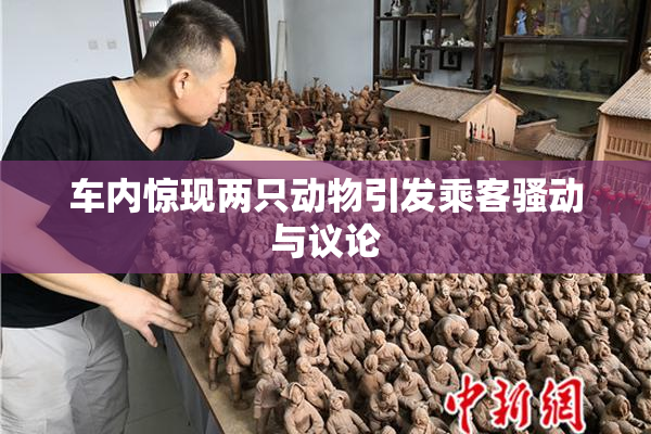车内惊现两只动物引发乘客骚动与议论