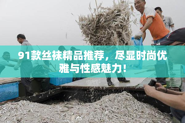 91款丝袜精品推荐，尽显时尚优雅与性感魅力！