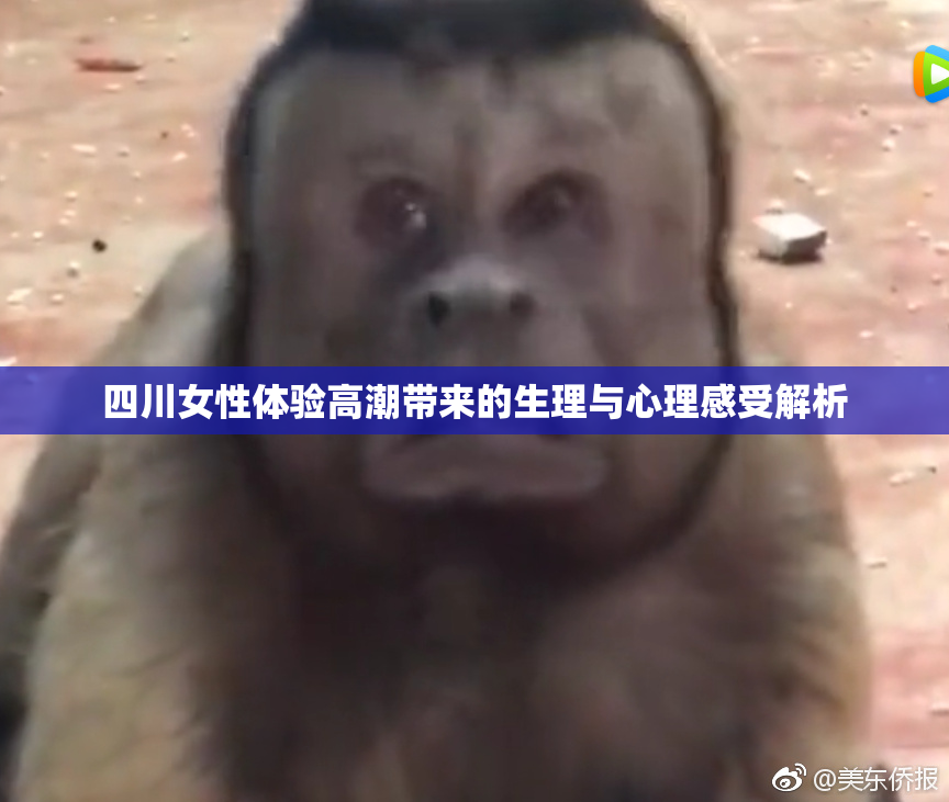 四川女性体验高潮带来的生理与心理感受解析