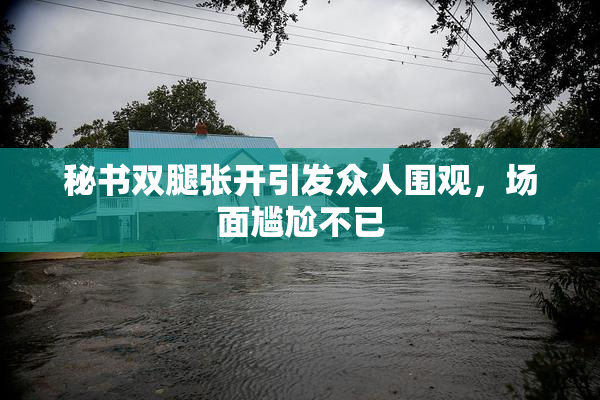 秘书双腿张开引发众人围观，场面尴尬不已