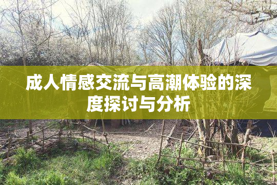 成人情感交流与高潮体验的深度探讨与分析
