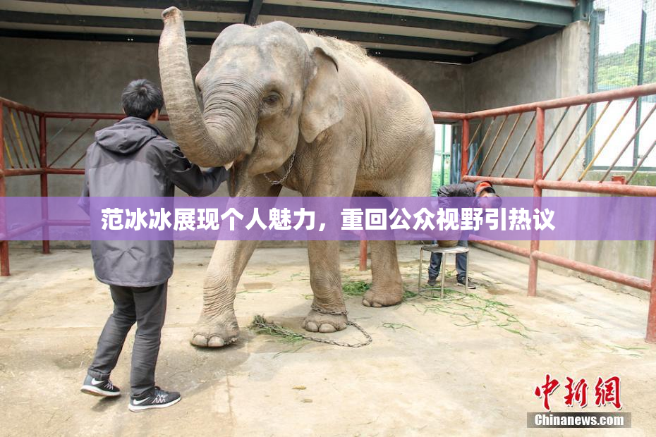范冰冰展现个人魅力，重回公众视野引热议