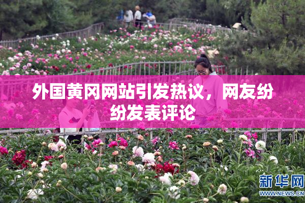 外国黄冈网站引发热议，网友纷纷发表评论