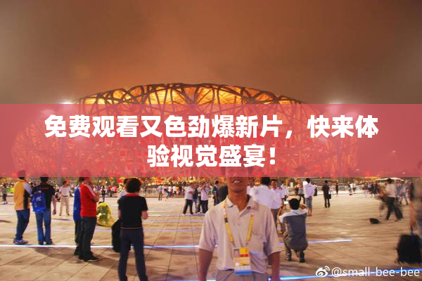 免费观看又色劲爆新片，快来体验视觉盛宴！