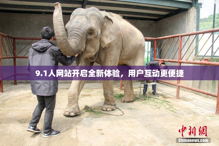 9.1人网站开启全新体验，用户互动更便捷