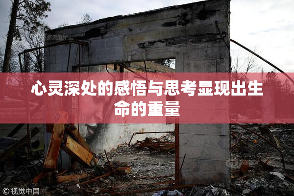 心灵深处的感悟与思考显现出生命的重量