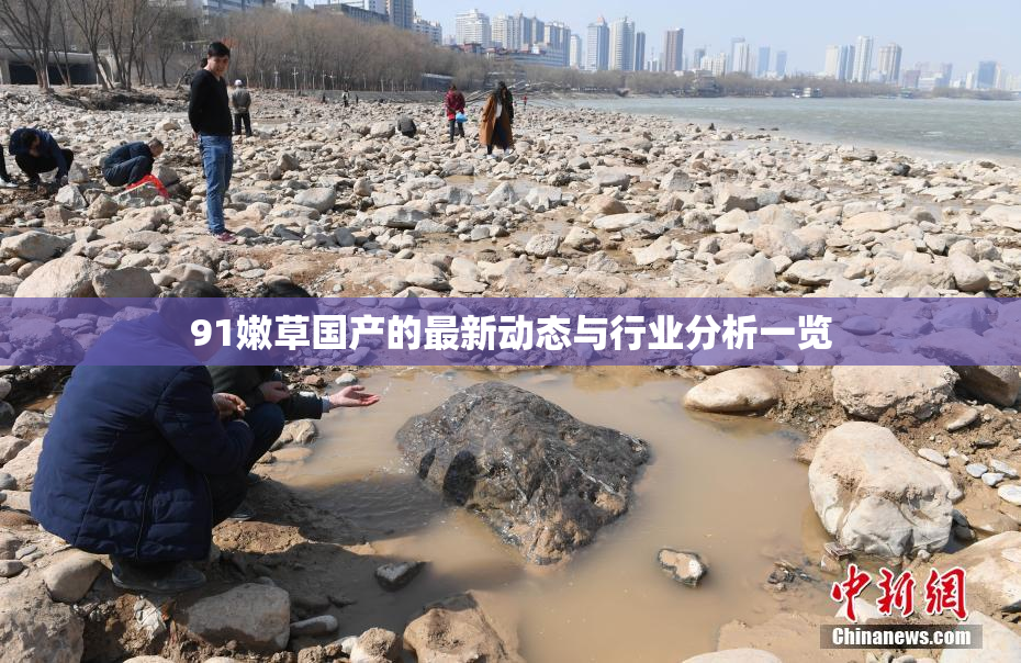 91嫩草国产的最新动态与行业分析一览