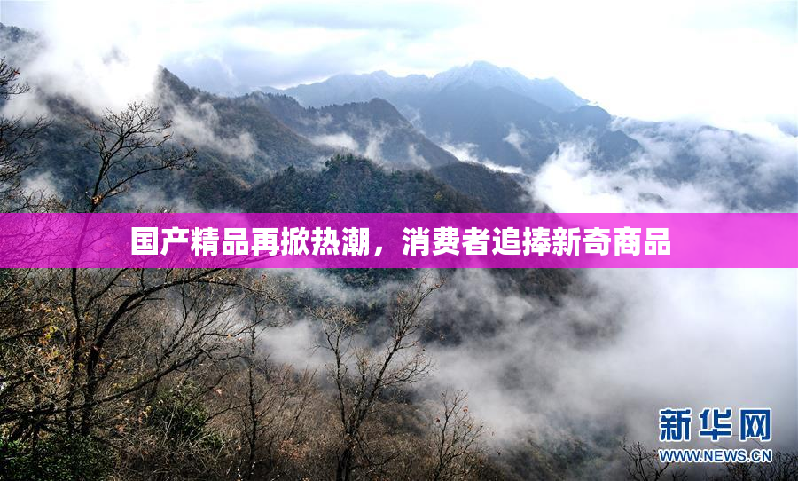 国产精品再掀热潮，消费者追捧新奇商品