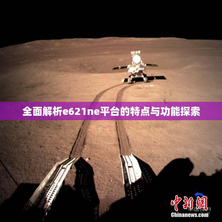 全面解析e621ne平台的特点与功能探索