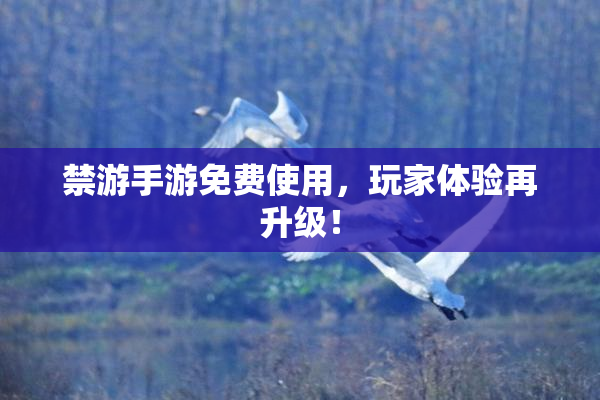 禁游手游免费使用，玩家体验再升级！