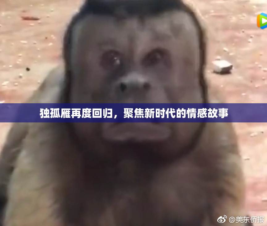 独孤雁再度回归，聚焦新时代的情感故事