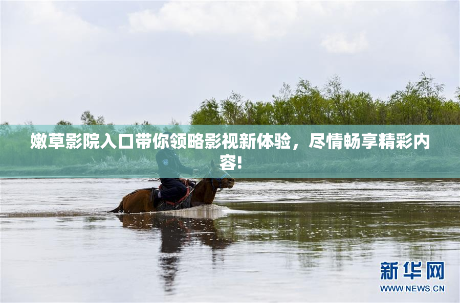 嫩草影院入口带你领略影视新体验，尽情畅享精彩内容!