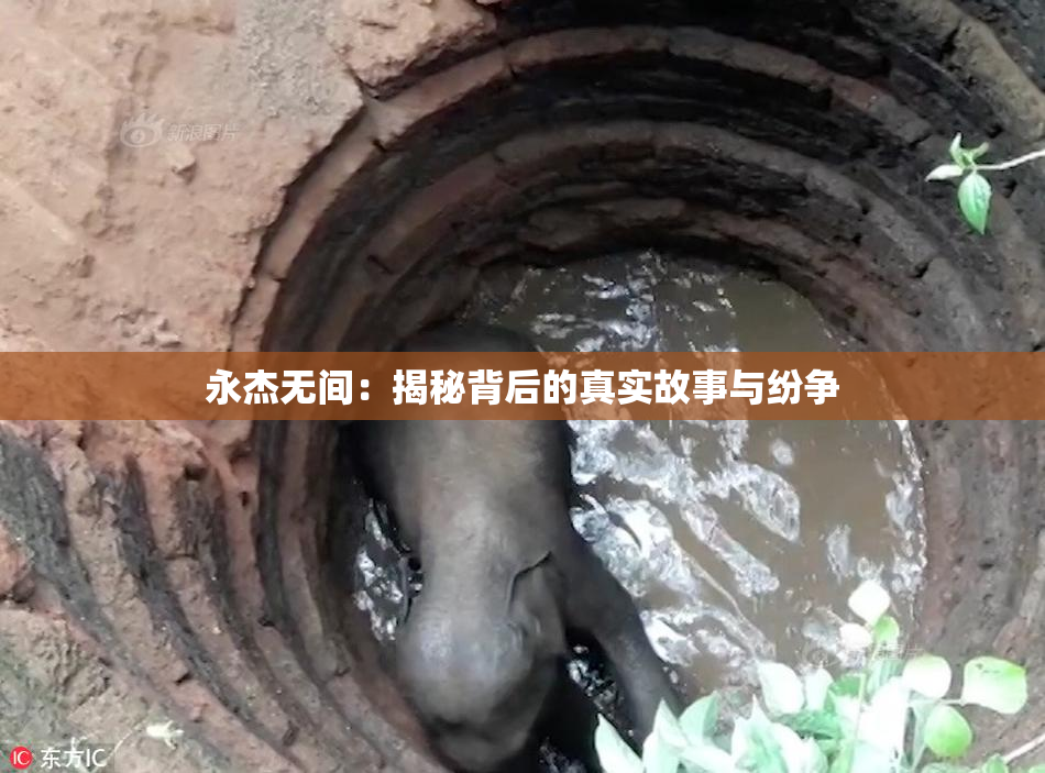 永杰无间：揭秘背后的真实故事与纷争