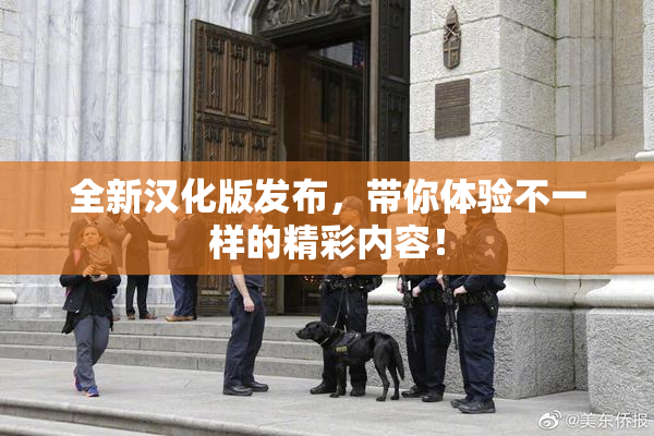 全新汉化版发布，带你体验不一样的精彩内容！
