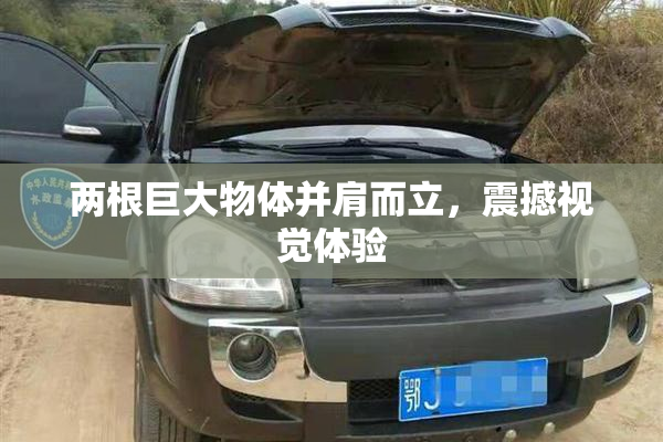 两根巨大物体并肩而立，震撼视觉体验