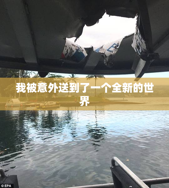我被意外送到了一个全新的世界