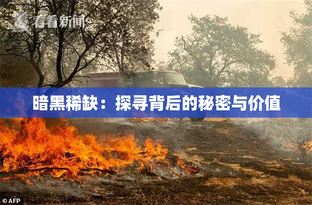 暗黑稀缺：探寻背后的秘密与价值