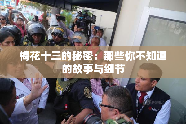 梅花十三的秘密：那些你不知道的故事与细节