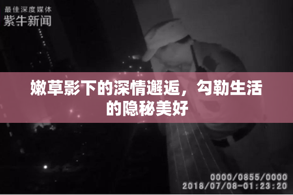 嫩草影下的深情邂逅，勾勒生活的隐秘美好