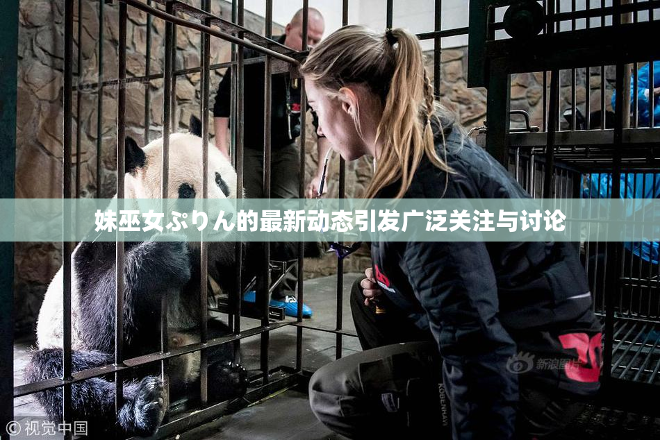 妹巫女ぷりん的最新动态引发广泛关注与讨论