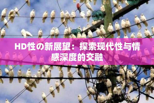 HD性の新展望：探索现代性与情感深度的交融