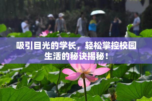 吸引目光的学长，轻松掌控校园生活的秘诀揭秘！