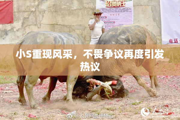 小S重现风采，不畏争议再度引发热议