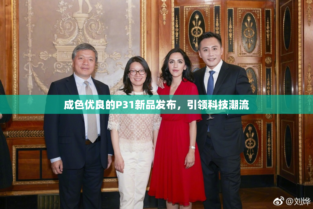 成色优良的P31新品发布，引领科技潮流
