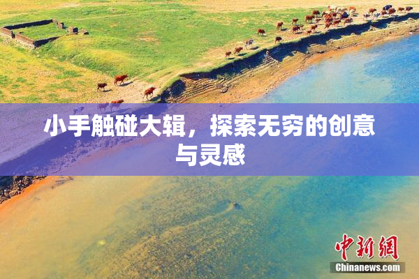 小手触碰大辑，探索无穷的创意与灵感