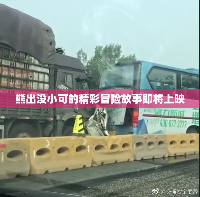 熊出没小可的精彩冒险故事即将上映