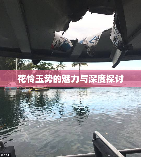 花怜玉势的魅力与深度探讨