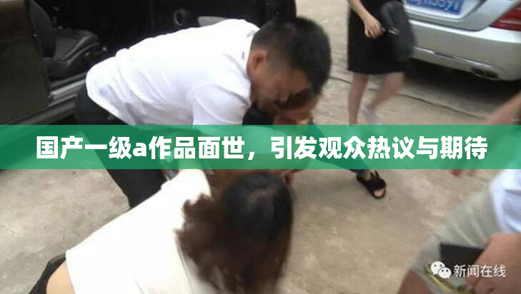 国产一级a作品面世，引发观众热议与期待