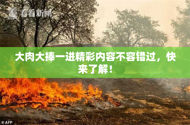 大肉大捧一进精彩内容不容错过，快来了解！