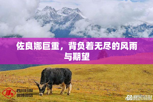 佐良娜巨重，背负着无尽的风雨与期望