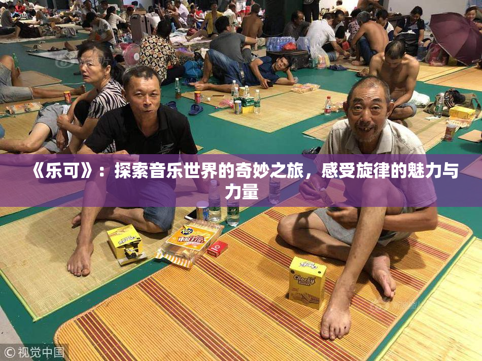 《乐可》：探索音乐世界的奇妙之旅，感受旋律的魅力与力量