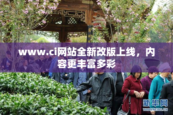www.ci网站全新改版上线，内容更丰富多彩