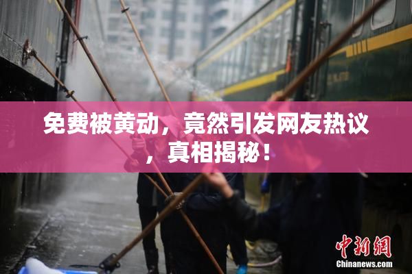 免费被黄动，竟然引发网友热议，真相揭秘！