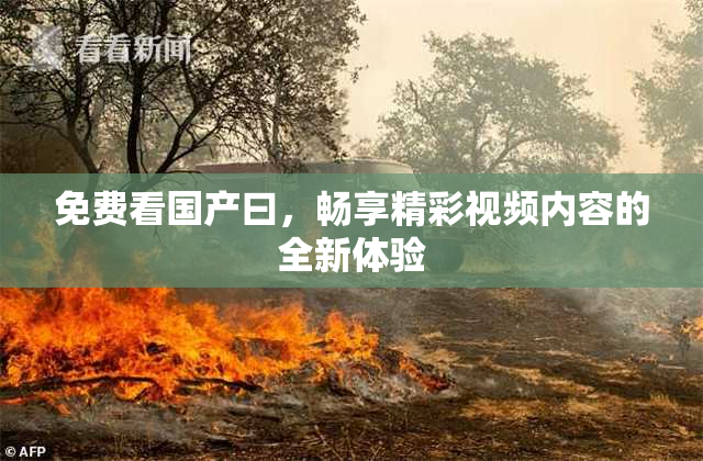 免费看国产曰，畅享精彩视频内容的全新体验