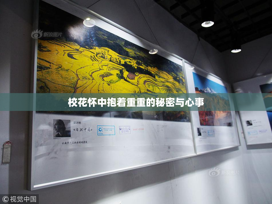 校花怀中抱着重重的秘密与心事