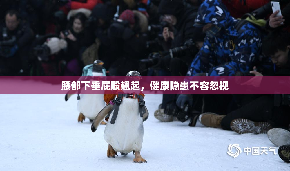 腰部下垂屁股翘起，健康隐患不容忽视