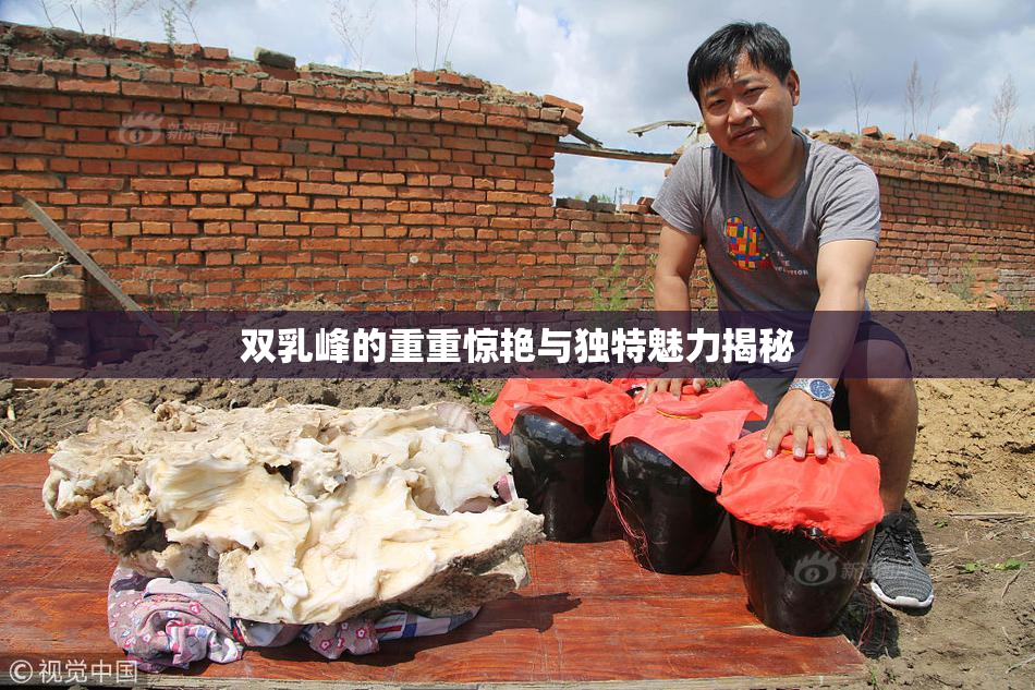 双乳峰的重重惊艳与独特魅力揭秘