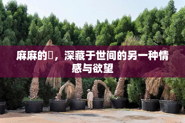 麻麻的婬，深藏于世间的另一种情感与欲望
