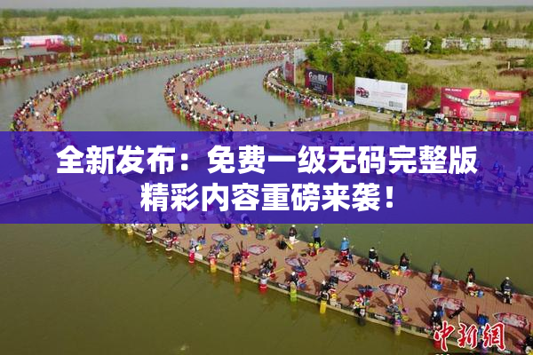 全新发布：免费一级无码完整版精彩内容重磅来袭！