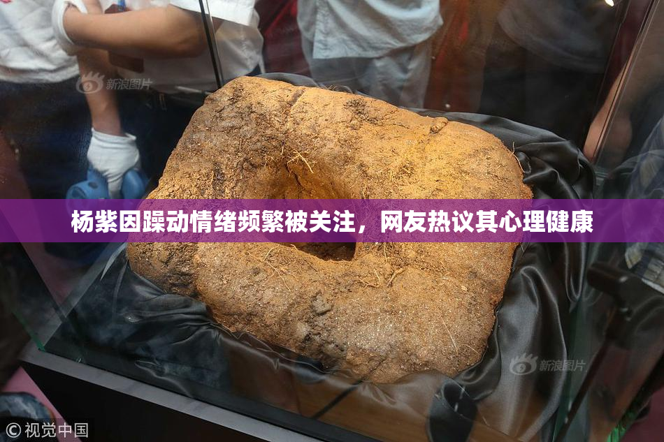 杨紫因躁动情绪频繁被关注，网友热议其心理健康
