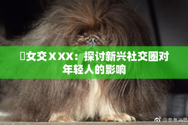 乣女交ⅩXX：探讨新兴社交圈对年轻人的影响