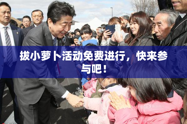 拔小萝卜活动免费进行，快来参与吧！