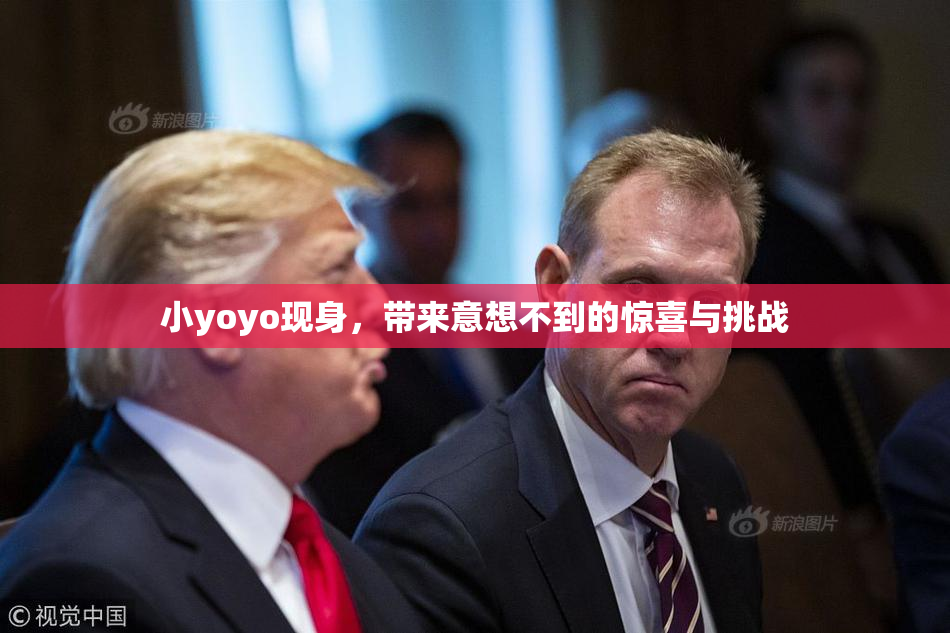 小yoyo现身，带来意想不到的惊喜与挑战